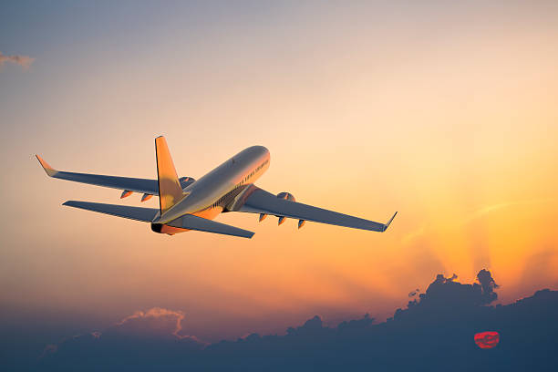 Vuelo de regreso a casa.