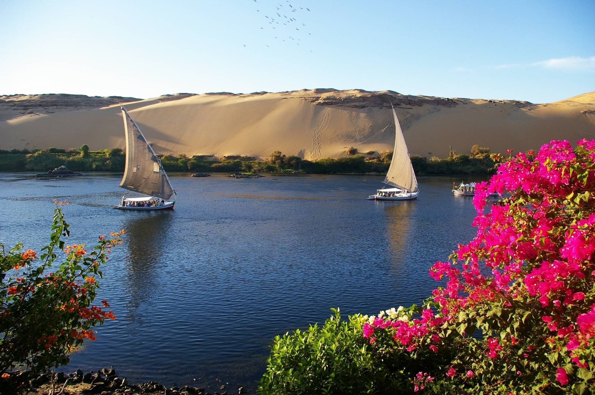 Felucca Cruise ( Breakfast - Lunch - Dinner )