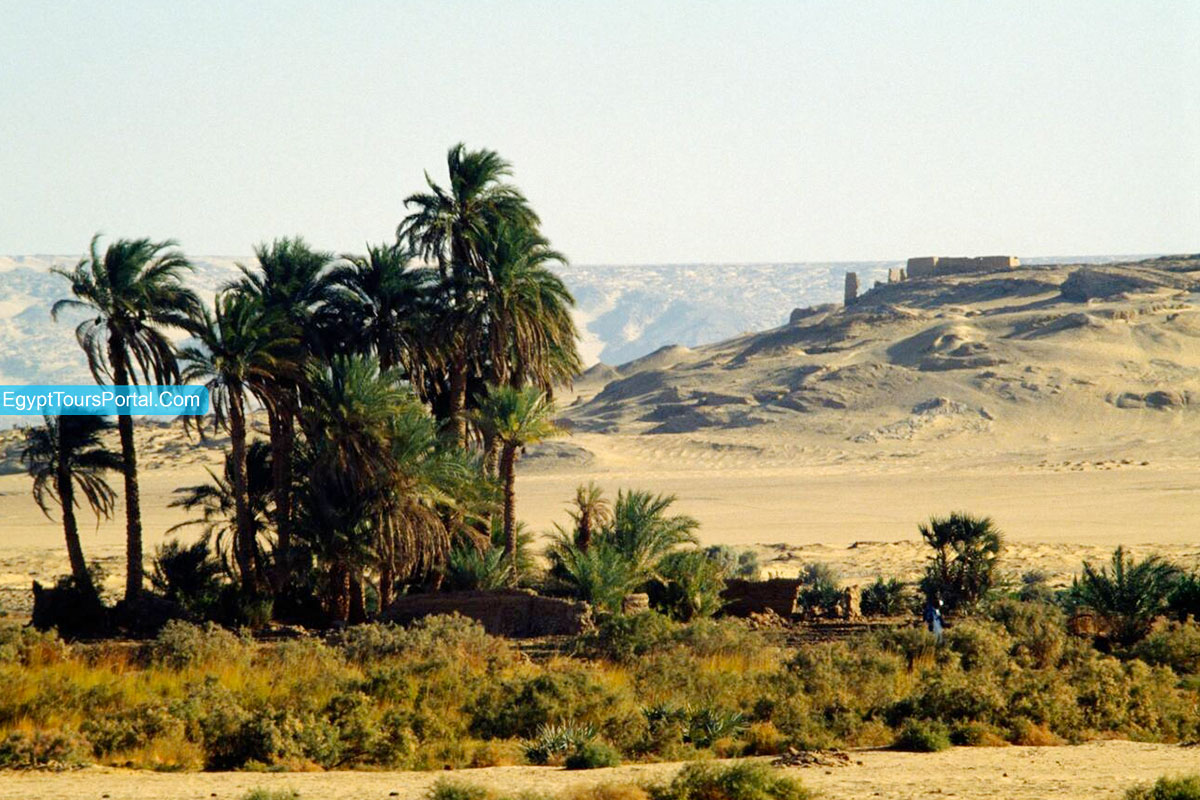 Kharga Oasis- Luxor “B”