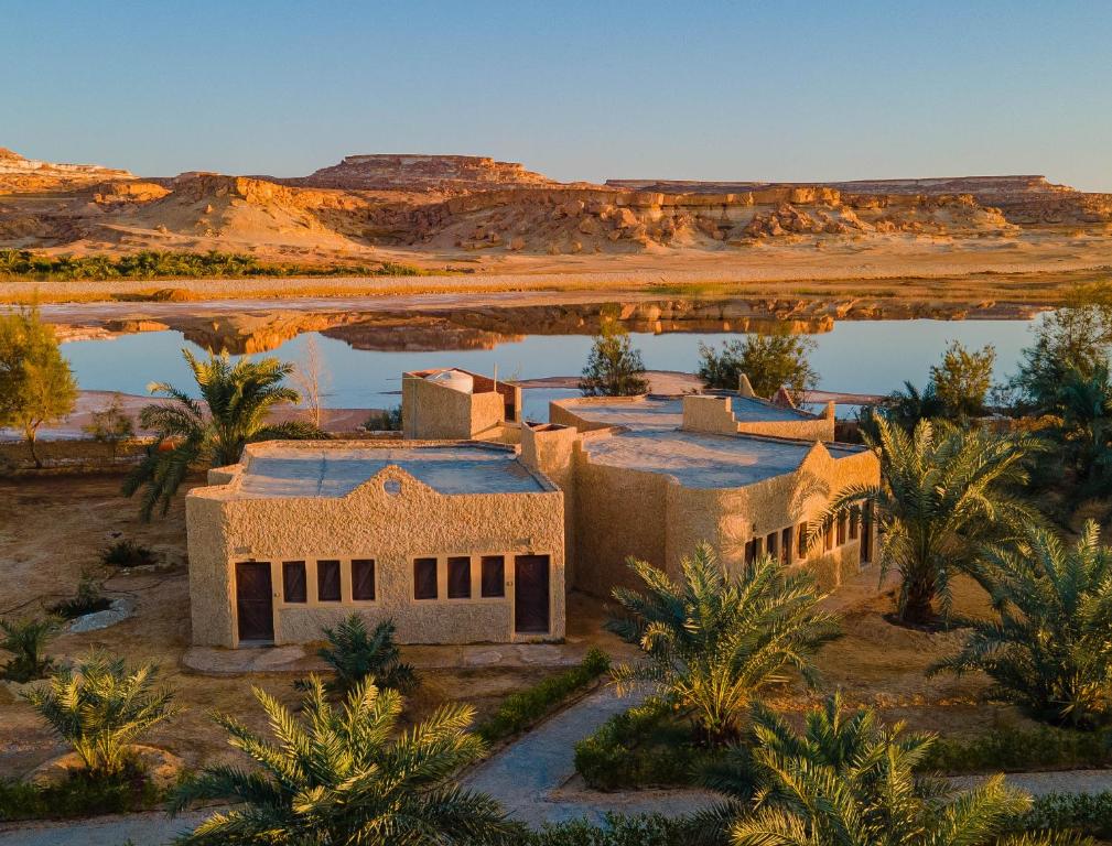 Siwa Oasis “B, L, D”