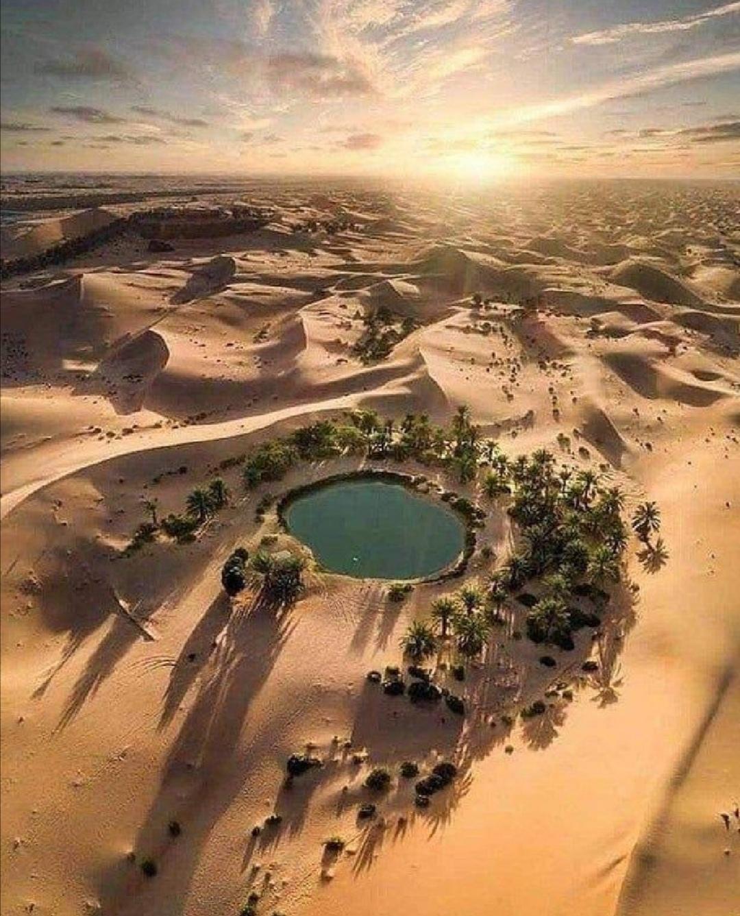 Bahariya Oasis