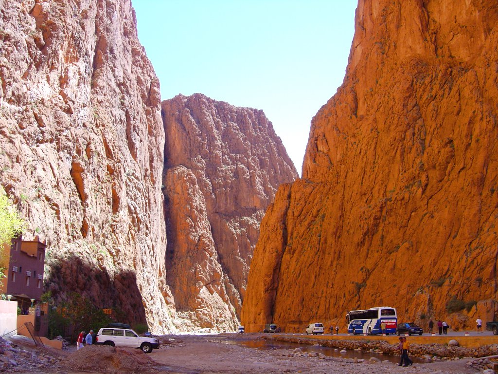 Todra Gorges Hike: A Journey Through Morocco's Breathtaking Canyon